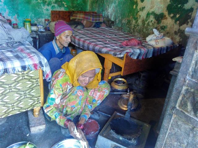 Renovate the house for their survival